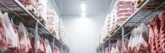 Belgiumba keresünk vágókat és csontozókat