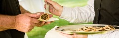 481. Fizető pincér - Chef de Rang - Svájci Alpok