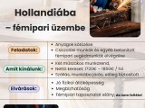 Betanított segédmunkásokat keresünk Hollandiába